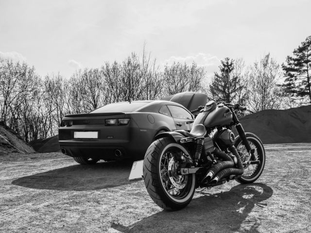 MG_8767_bearbeitet-2